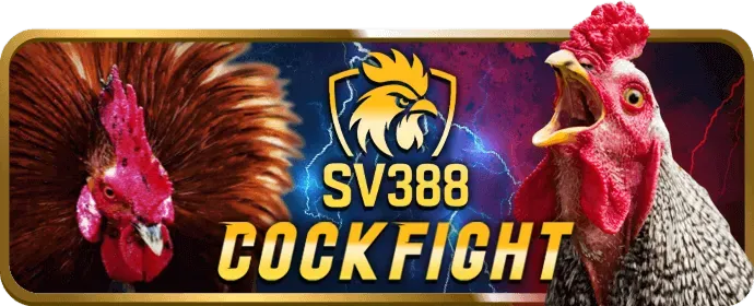 Tiền thưởng chào mừng cho người chơi mới tại Win88bet